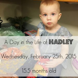 A Day in the Life of Hadley: 15 Months Big