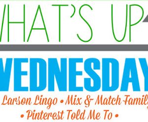 What’s Up Wednesday Link Up