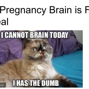 Slice of Life – April 13th, 2016