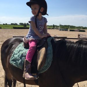 A Family Saturday at Ashwood Farm