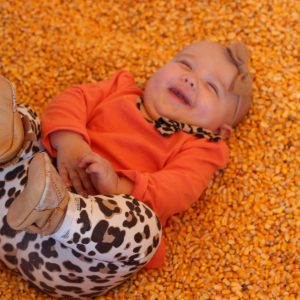 Annual Pumpkin Patch Outing + More Weekend Snapshots