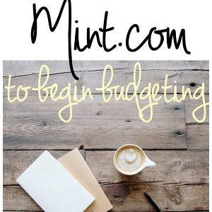 A Budgeting Tool to Use in the New Year: A Review of Mint.com