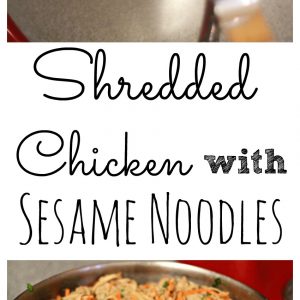 Shredded Chicken with Sesame Noodles