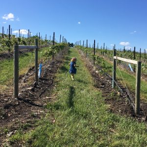 Sunny and 75 in Manhattan, Kansas