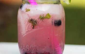 This lightened up blueberry mojito features substitutions like sugar alternatives and seltzer water that make it lower calorie without sacrificing any taste! Delicious!