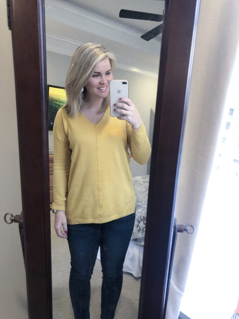 Stitch Fix Review February 2019 | WhimsicalSeptember.com | PINK CLOVER Hayes Seam Detail Pullover
