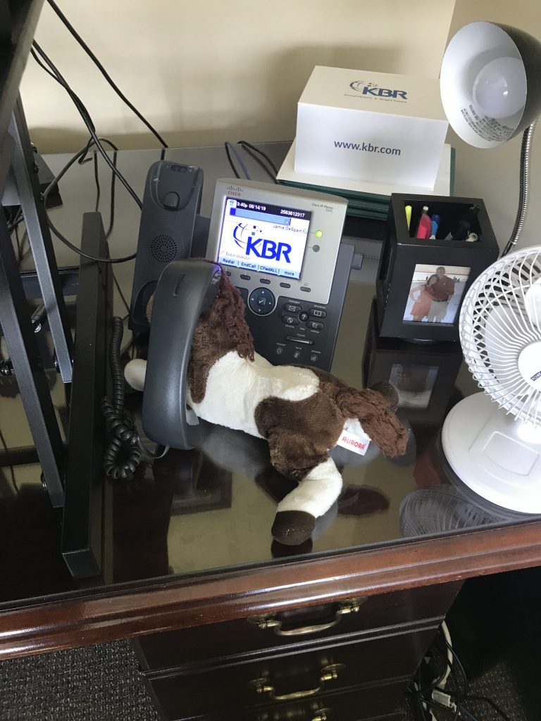 Bring a Stuffed Animal to Work Day: Grab your child's beloved stuffed animal, baby doll, etc. and take pictures of the item ....