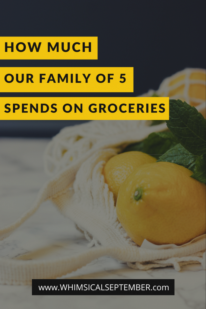 In this post I break down our grocery budget for our family of five (*ahem* what we actually spend on groceries) and what we actually buy that is included in that budget. I share exactly what we spent in the month of January throughout various grocery trips as well as what we spent on dining out. I hope this post makes you feel a little bit more "normal" about what your family realistically spends as well. More on WhimsicalSeptember.com