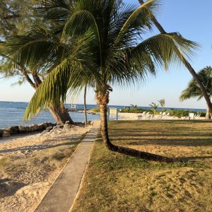 Our Family Vacation to Grand Cayman / Part Two: Rum Point
