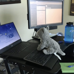 Bring a Stuffed Animal to Work Day: A Free, Sweet Parenting Idea